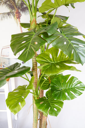 Faux Monstera Tree